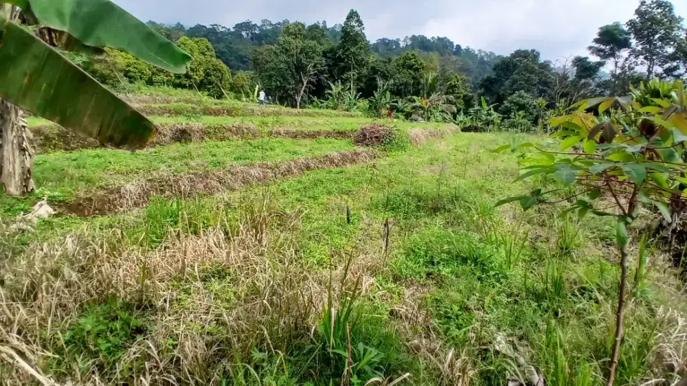 Di jual tanah seluas 636m2