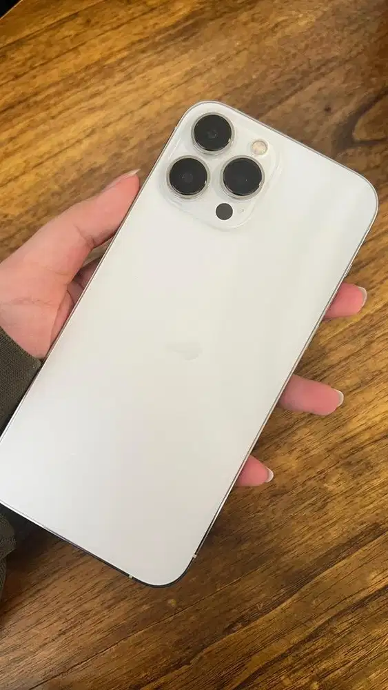 iphone 13 pro max - 256gb - silver