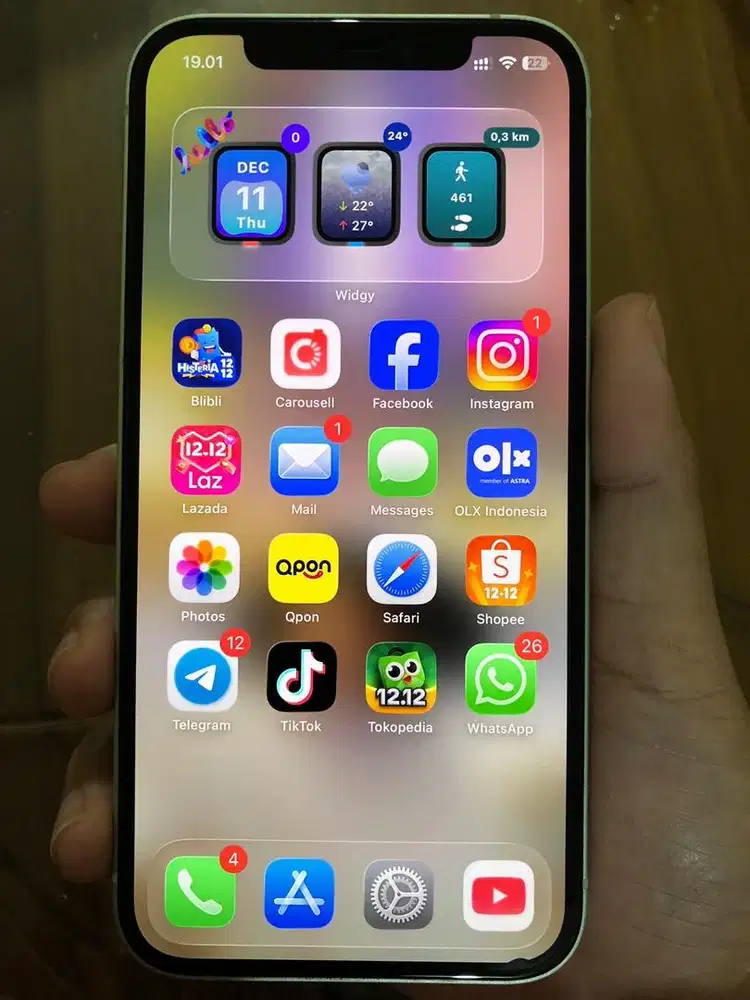 iPhone 12 64 GB Green Ex Garansi Resmi Ibox