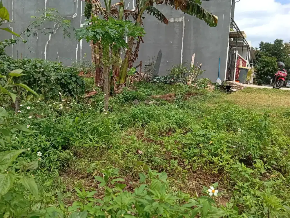 Tanah premium Undip mulawarman siap bangun kost Semarang Jawa Tengah