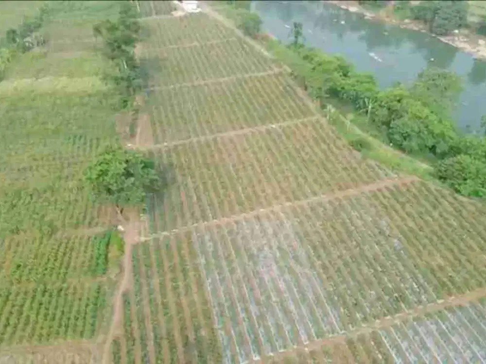Tanah Murah di Mekarsari Ranca Bungur Bogor