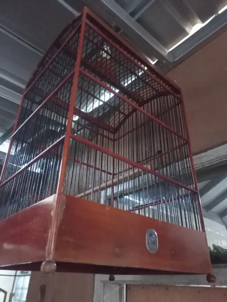 Sangkar kurung kandang burung kotak EBOD u/ kenari Kacer jalak