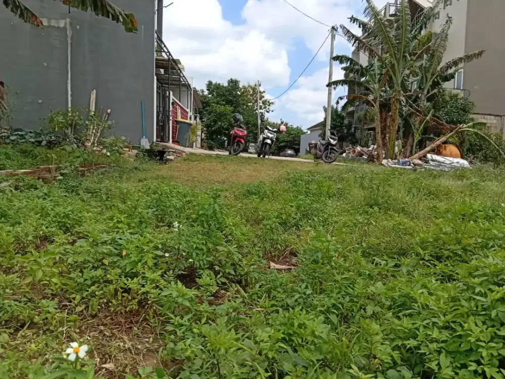 Tanah Murah UNDIP Tembalang