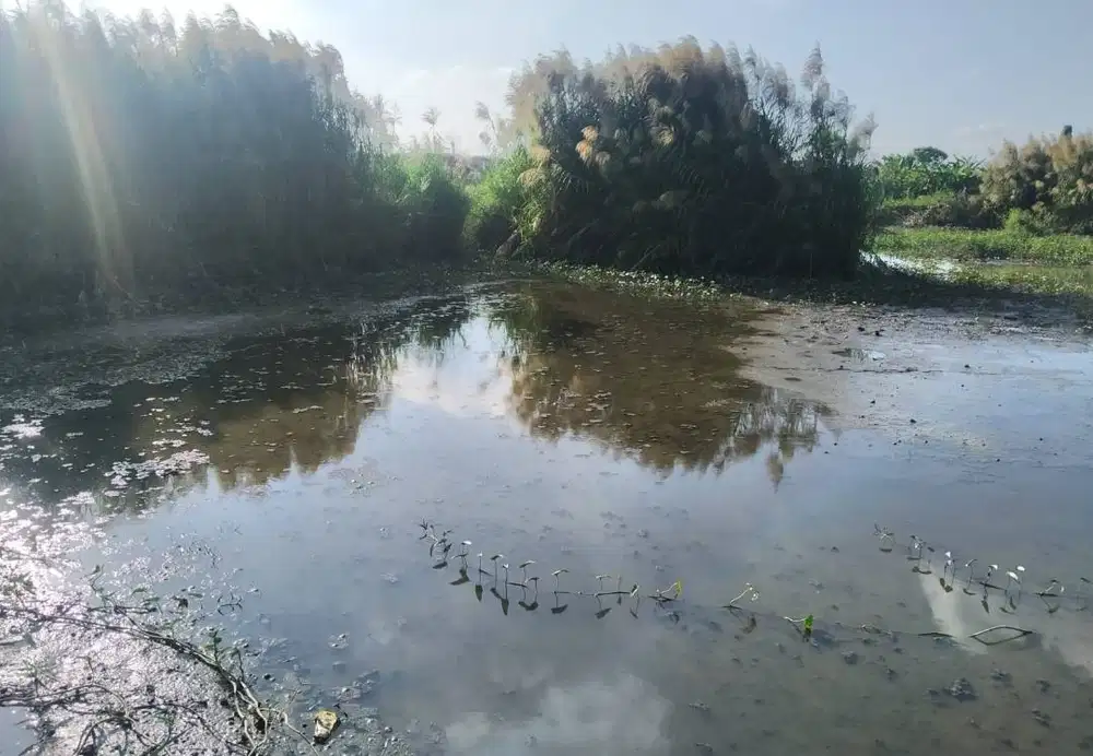 Dijual sebidang tanah ukuran lebih kurang 14,6 x 15m