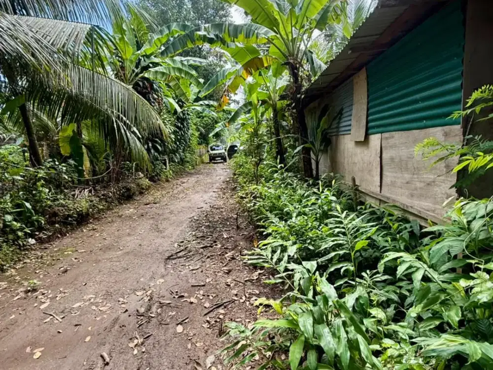 Sebidang Tanah di Kawasan Lod Tunduh Ubud