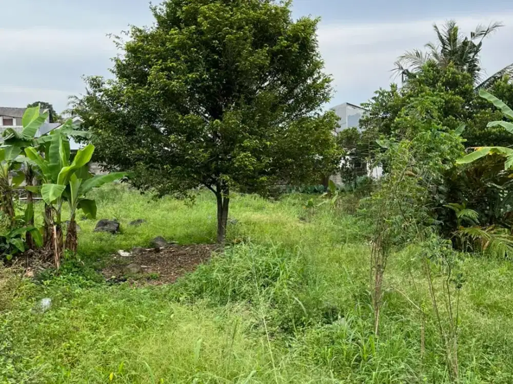 Dijual Tanah 1638m2 SHM di Ciapus Bogor By Rumah Chinida