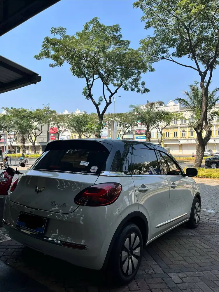 Transfer Credit Free DP Wuling Binguo EV 2024 333km