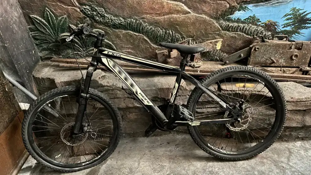 Sepeda Gunung MTB Pacific Tranzline CX 3.0 24inch