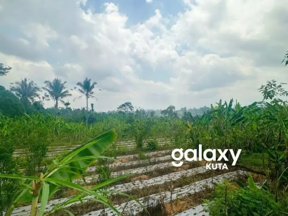 DIJUAL TANAH RAYA PAYANGAN UBUD GIANYAR, BALI