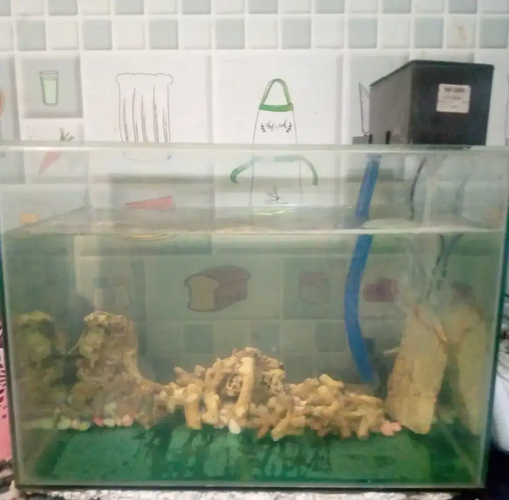 Aquarium di tambun selatan