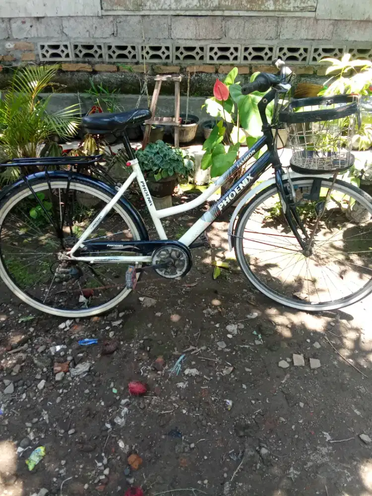 Citybike 26 siap pakai