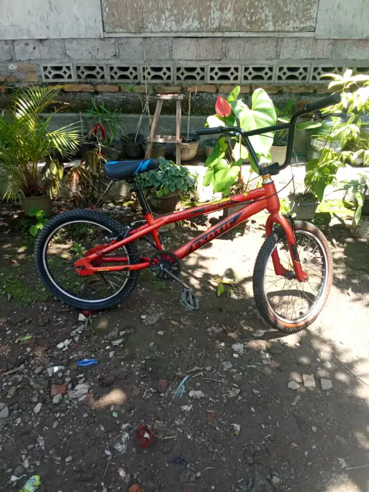 BMX exotic 20 siap pakai cat ori