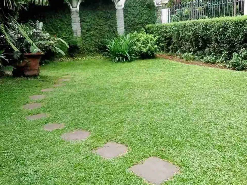 Dijual Rumah Luas Dan Lega Di Hangtuah Kebayoran Baru