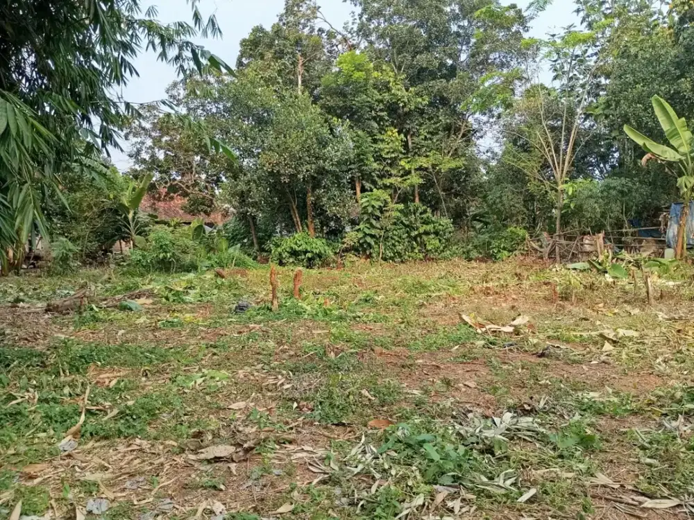 Termurah Tanah Kavling Tangerang Cisauk Dekat Stasiun Jatake