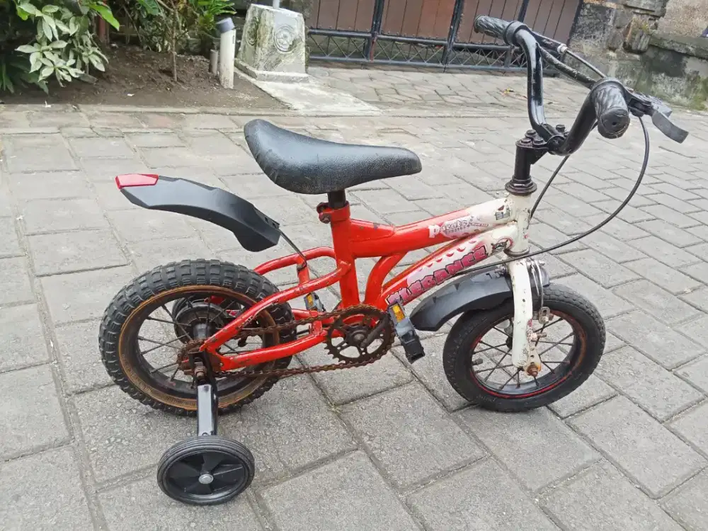 Sepeda anak ELEGANCE R 12