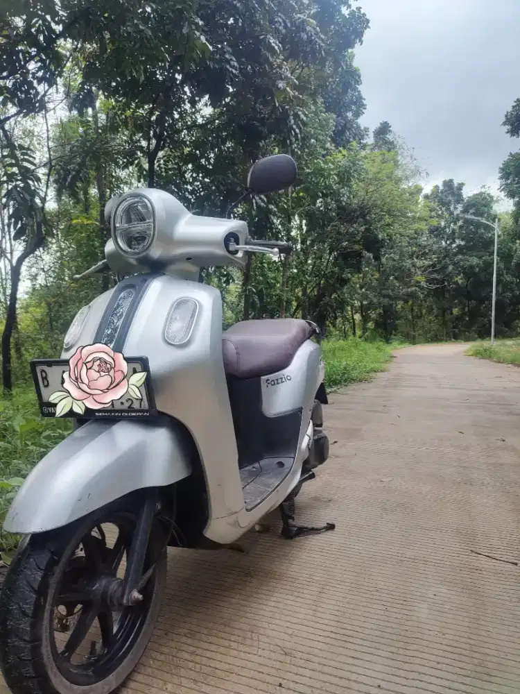 Fazzio 2022 silver lux