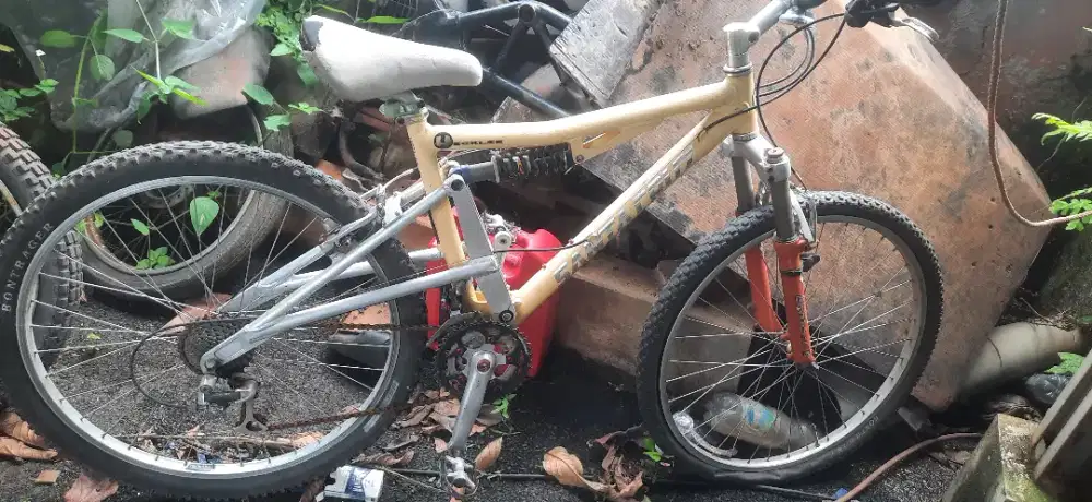 MTB vintage Santa Cruz Heckler