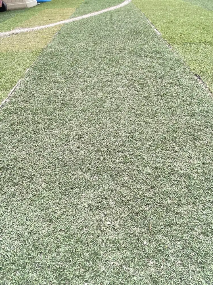 Rumput sintetis 486m