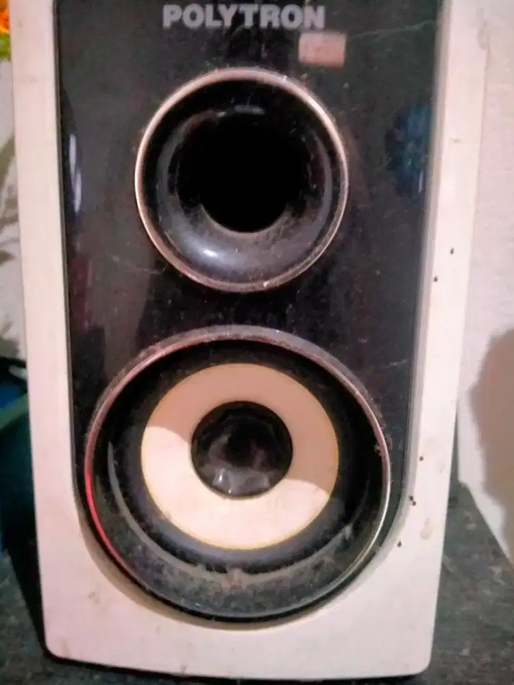 DUJUAL POLYTRON AUDIO SEGERA!