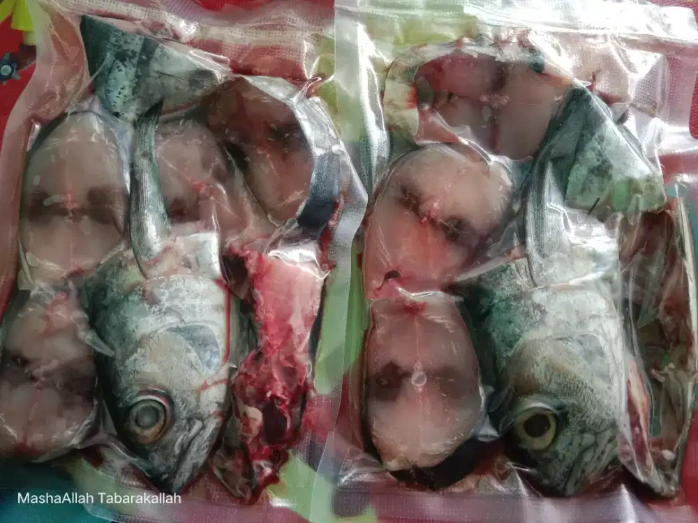 Cakalang Fresh Harian – Siap Masak