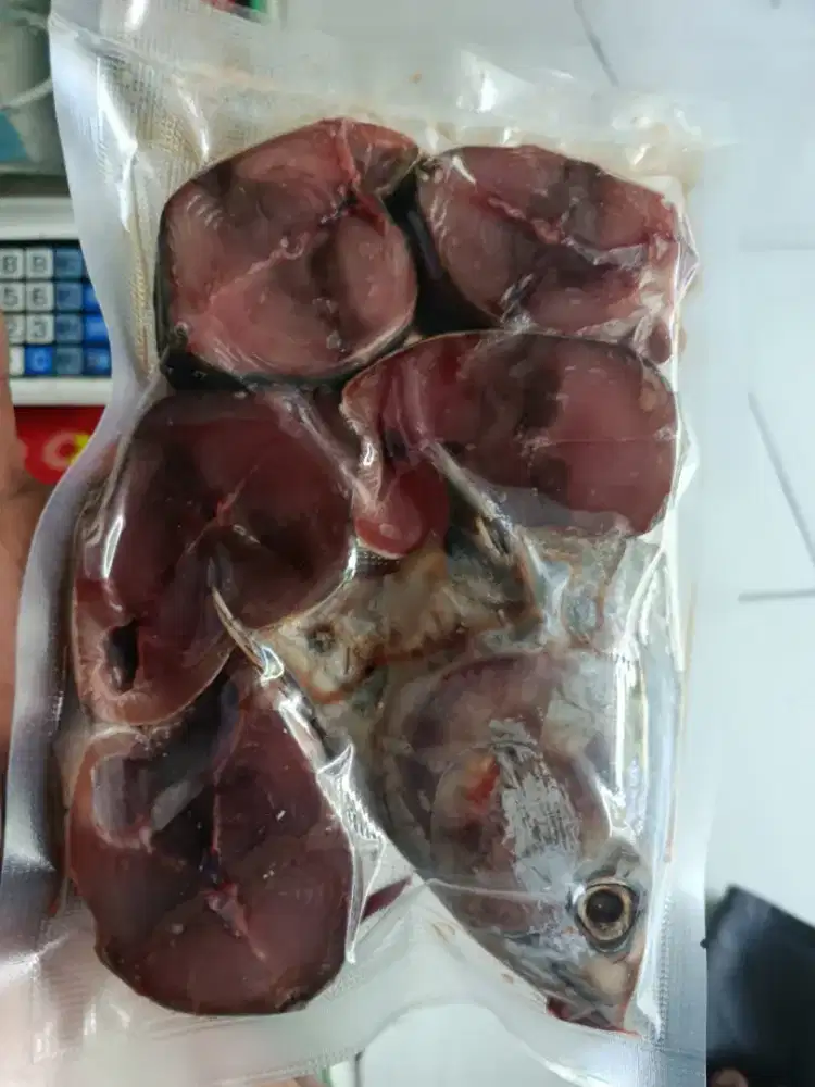 Tongkol Fresh Harian – Dijamin Enak