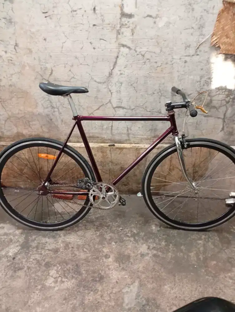 Fixie lokal L klasik