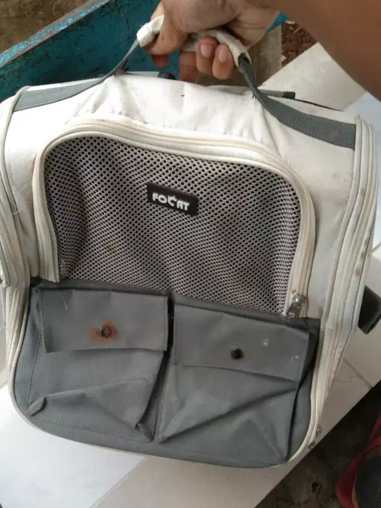 Tas untuk bawa Kucing