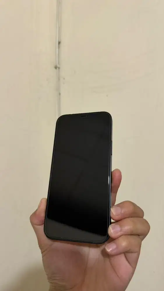 Iphone 12 128gb IBOX Nego
