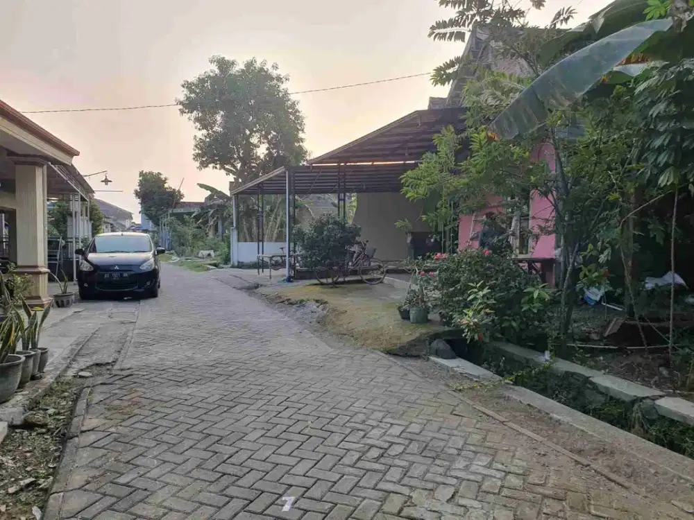 DIJUAL RUMAH 

KEL. : NGAMPEL
KEC  : BALONGPANGGANG
KAB  : GRESIK