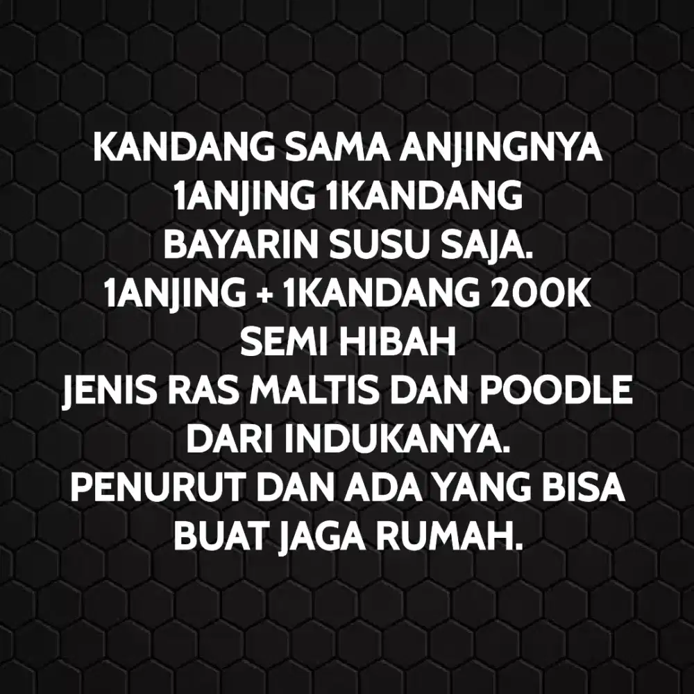 SEMI HIBAH ANJING RAS