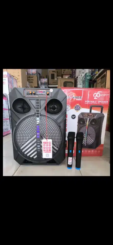 Sound portabel 12inch, 2mic