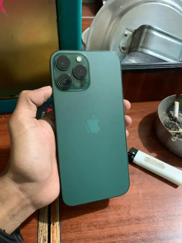 iphone 13 promax 256gb