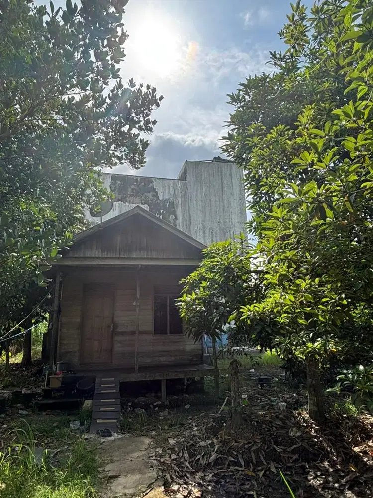 Jual tanah dan sarang burung walet