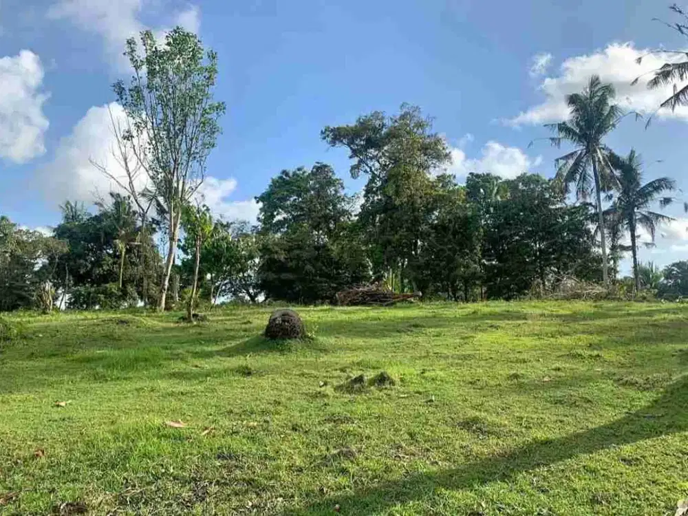 1 HEKTAR 12 ARE LAND IN TABANAN WEST SELAMADEG FOR SALE code mr.dalem