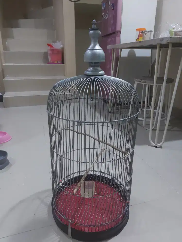 Jual kandang lovebird bekas
