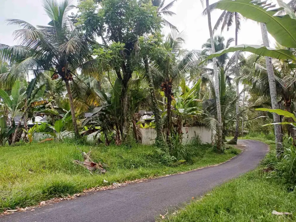 for lease   tanah  pinggir jalan dekat ubud .