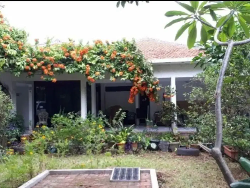 JUAL CEPAT RUMAH 4 KAMAR DAERAH KEMANG