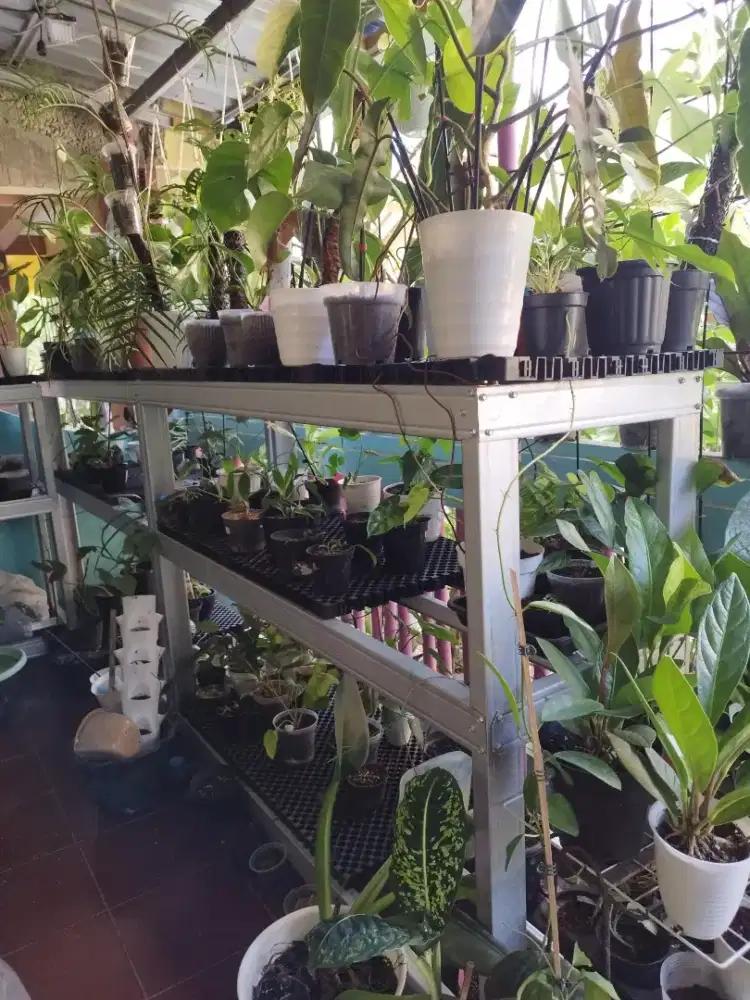 JUAL RAK TANAMAN  3 SUSUN BAHAN  BAJA RINGAN