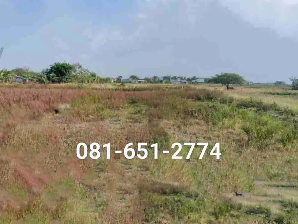 Tanah Industri di Widang Tuban