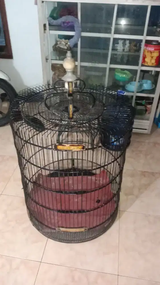 Sangkar murai uk 58 atau 60