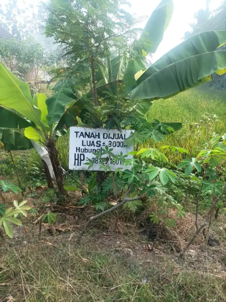 Dijual Tanah Dekat Exit Tol Ngawi