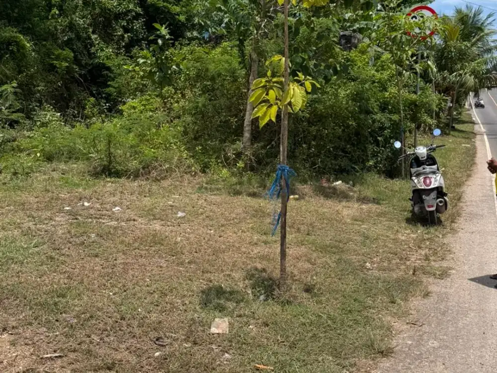 Dijual tanah ukuran kecil di jalan utama Nunggalan