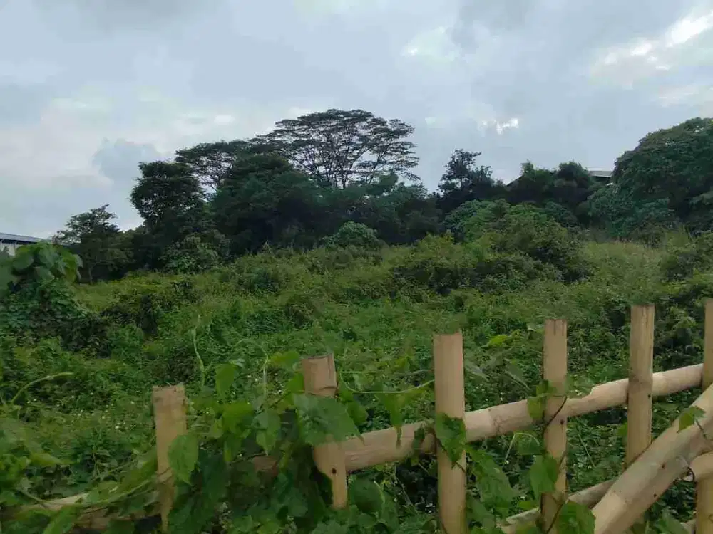 DI JUAL CEPAT ! tanah darat bentuk kotak jalan Diklat pemda tangerang