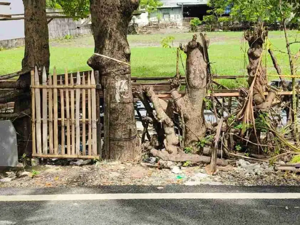 tanah Tukad Badung Renon bali
