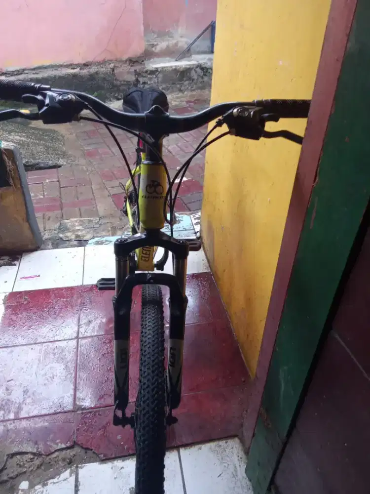 Sepeda gunung Element