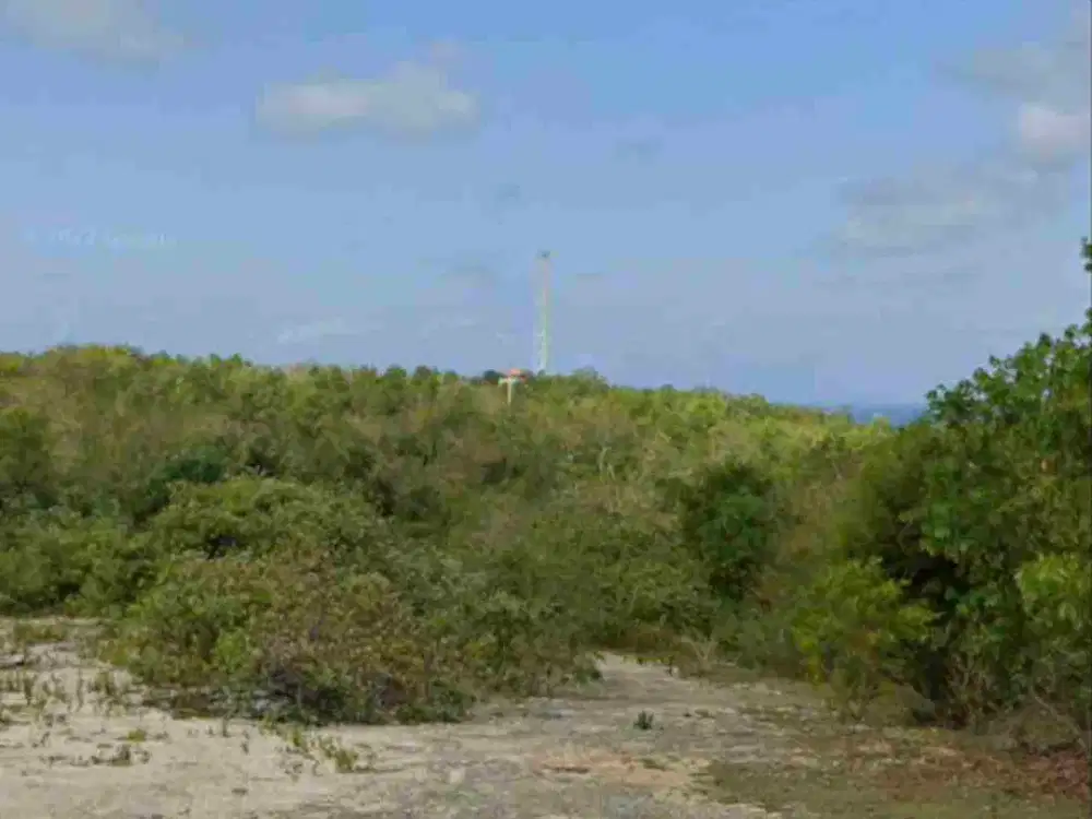 dikontrakkan tanah 1 hektar IDR 20 JT/are/tahun kawasan Melasti beach Ungasan Kuta Selatan Badung Bali