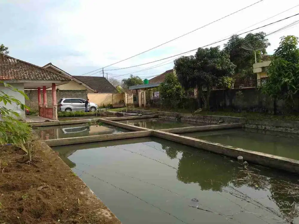 RUMAH VILLA TANAH 23 KOLAM IKAN DI KADUDAMPIT SUKABUMI