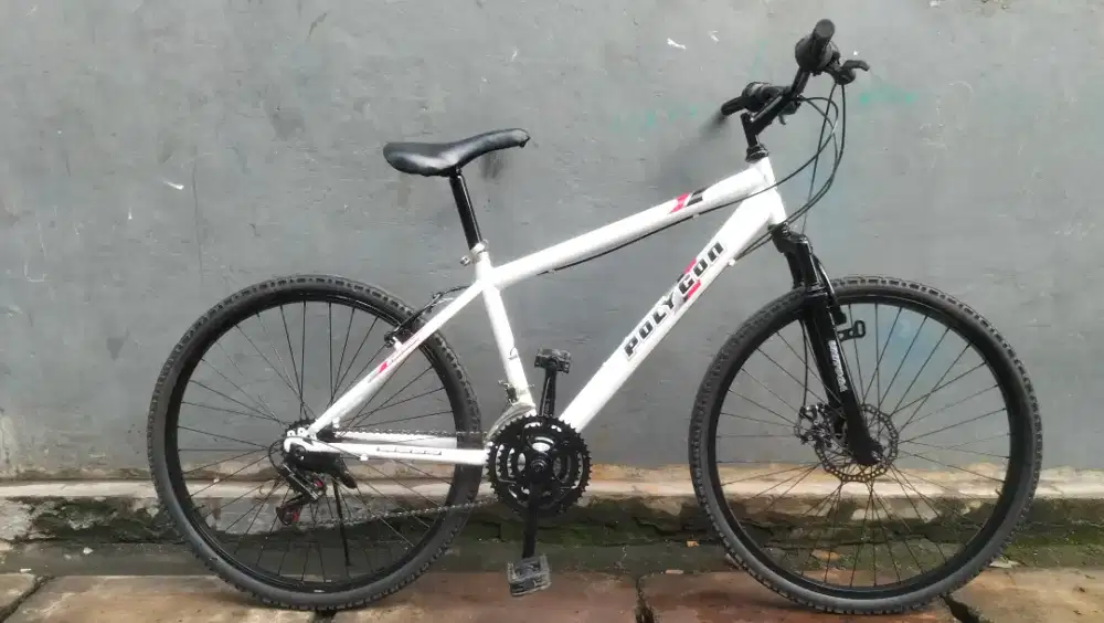 Sepeda polygon repaint