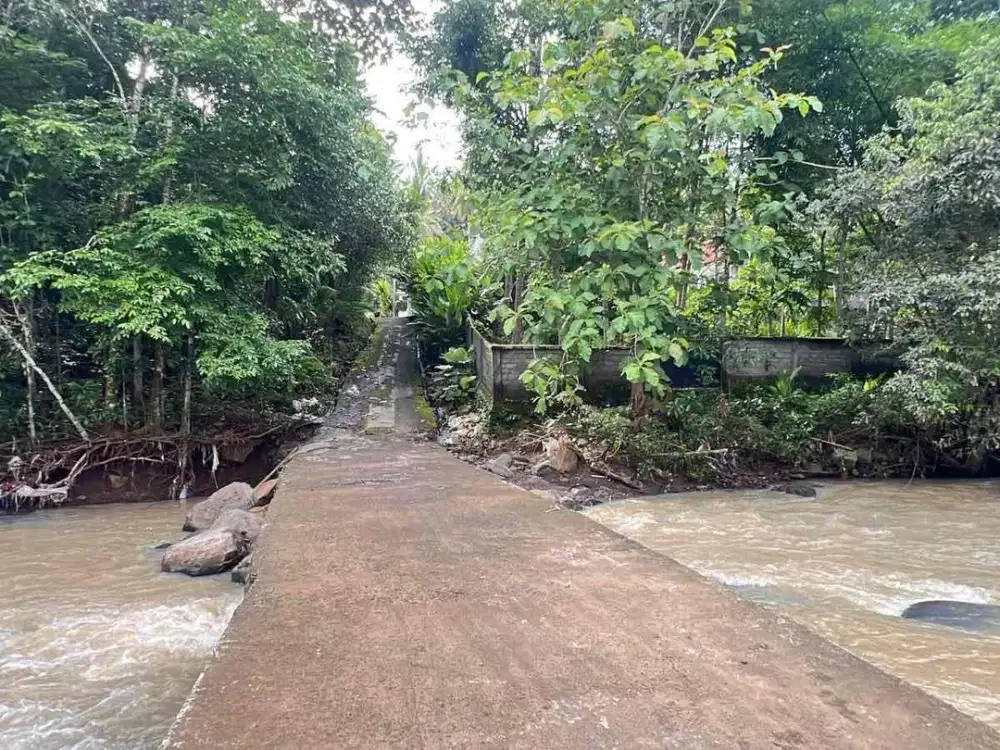 Jual Tanah Zona Kuning View Sawah Gunung Yg Cantik Di Tabanan Bali