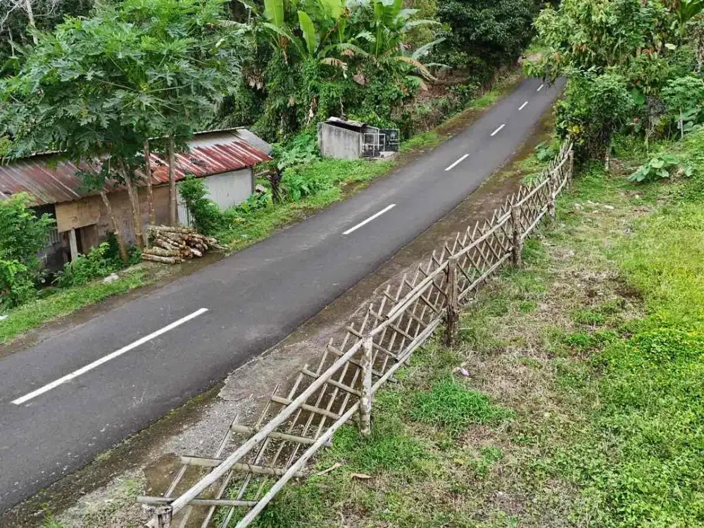 Dijual Tanah view Langka Di Tabanan Bali